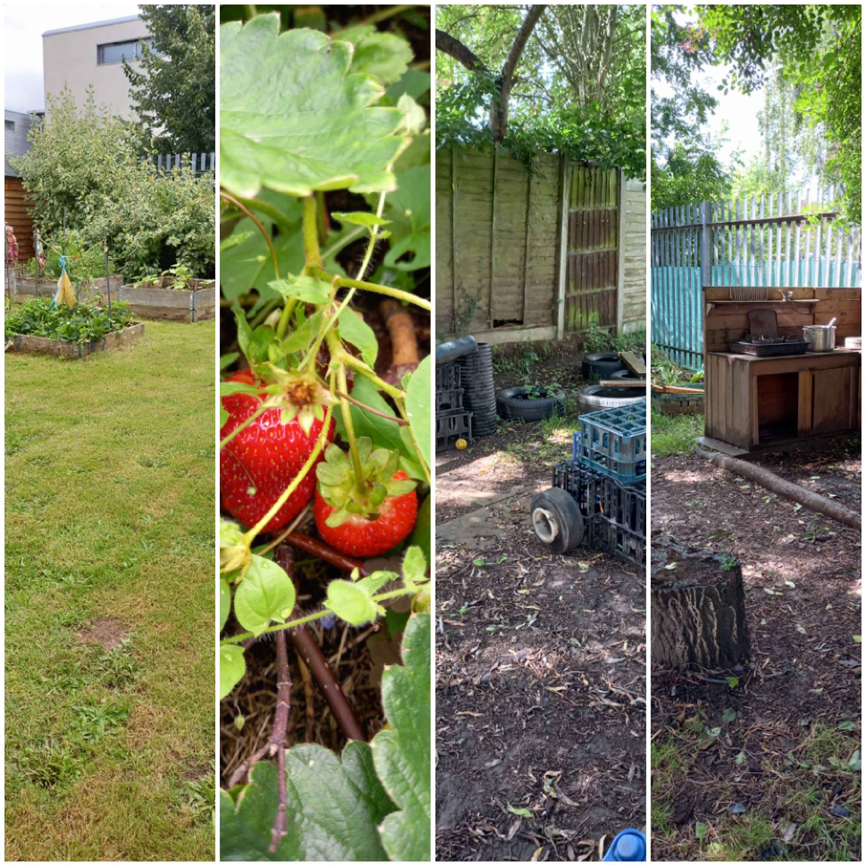 Little Sprouts Day Care Gallery